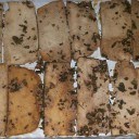 tofu marinato - ricette vegetariane