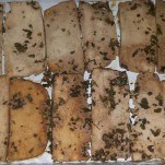 Tofu marinato – Ricette Vegane